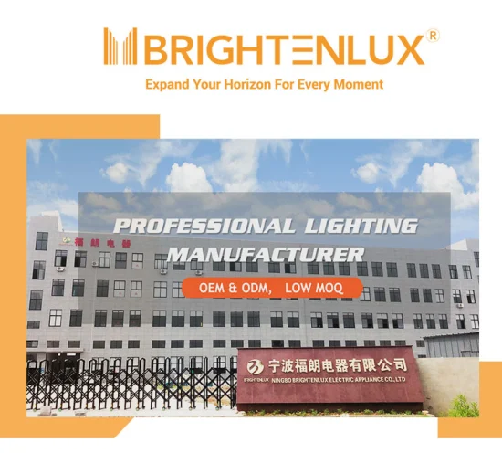 Brigenlux Wholesale Beauty 10 インチ写真セルフィー LED リングライト三脚スタンド付きライブストリームメイクアップ Youtube ビデオ用